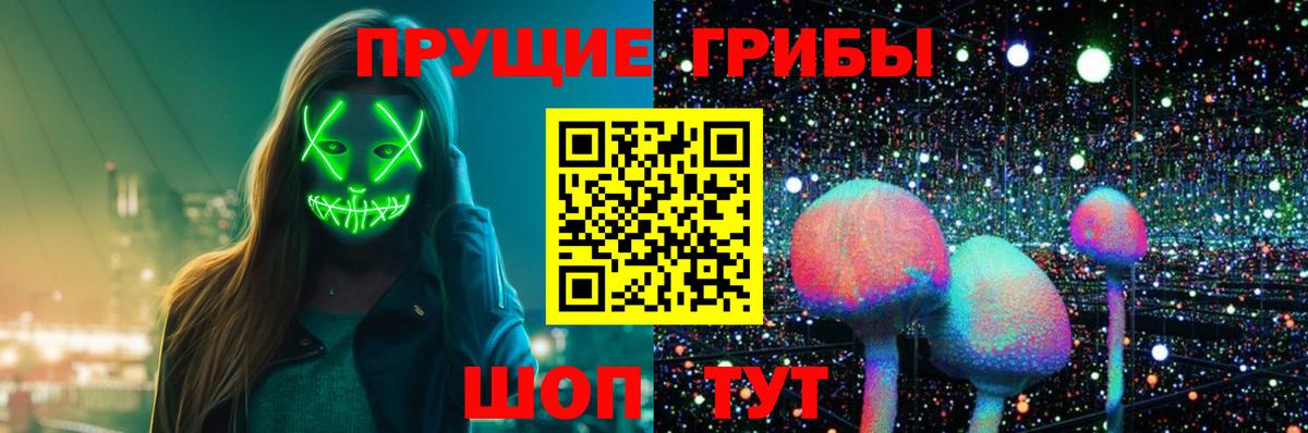 Псилоцибиновые грибы прущие грибы Шали