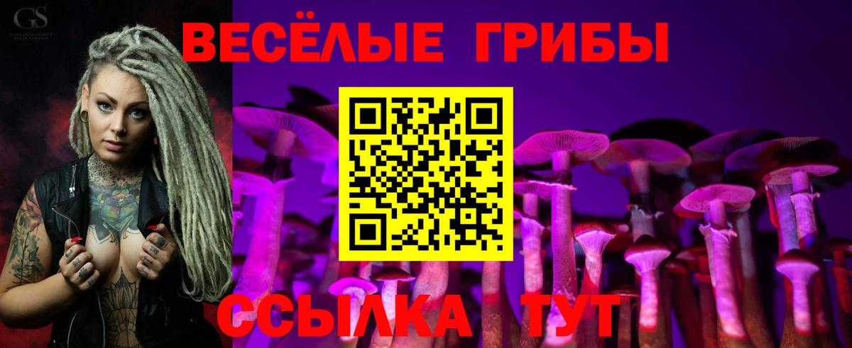 Шали  купить   Вход с VPN  Галлюциногенные грибы мухоморы 