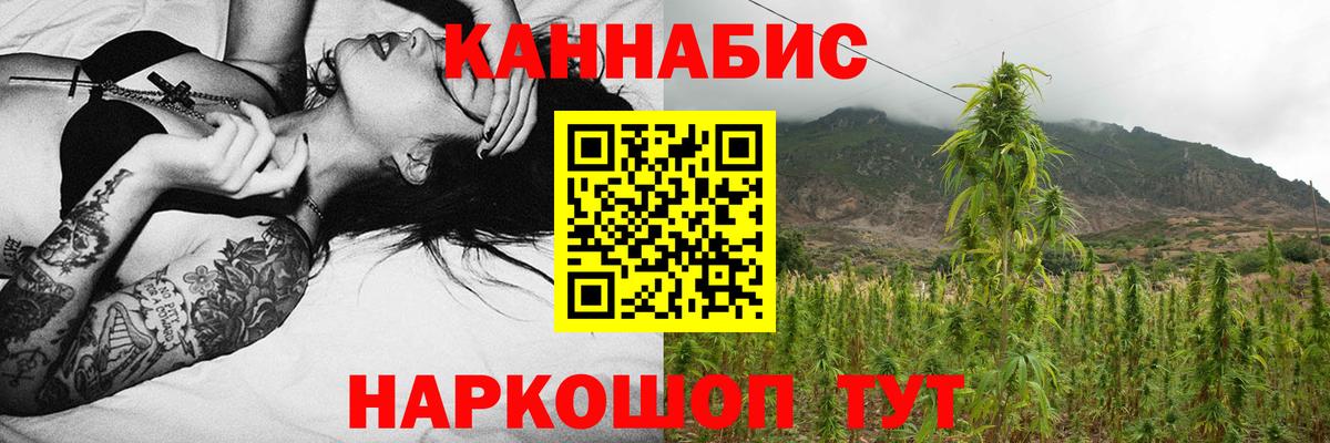 Шишки марихуана гибрид Шали